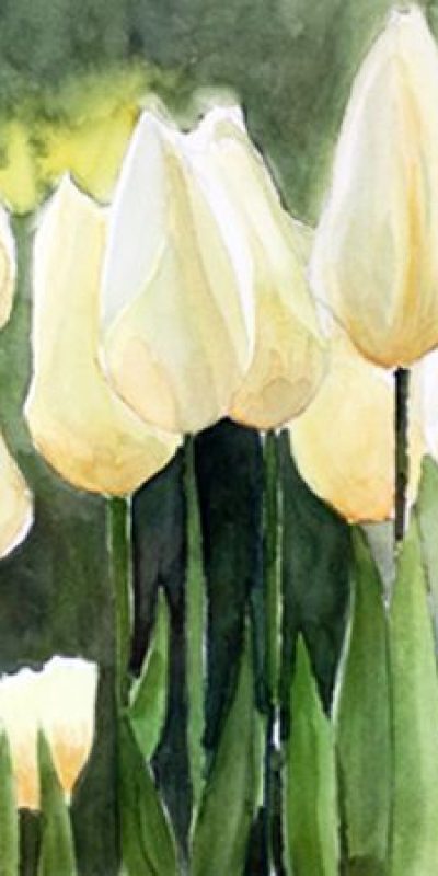 acuarela flores